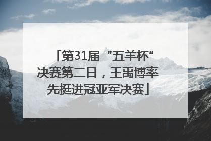 第31届“五羊杯”决赛第二日，王禹博率先挺进冠亚军决赛